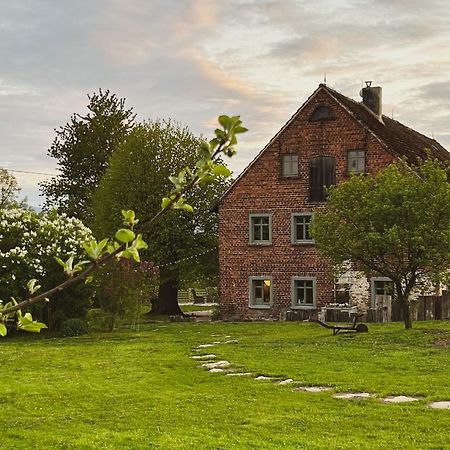 Bed and Breakfast Dom Na Krzewiu Gryfów Śląski Exterior foto