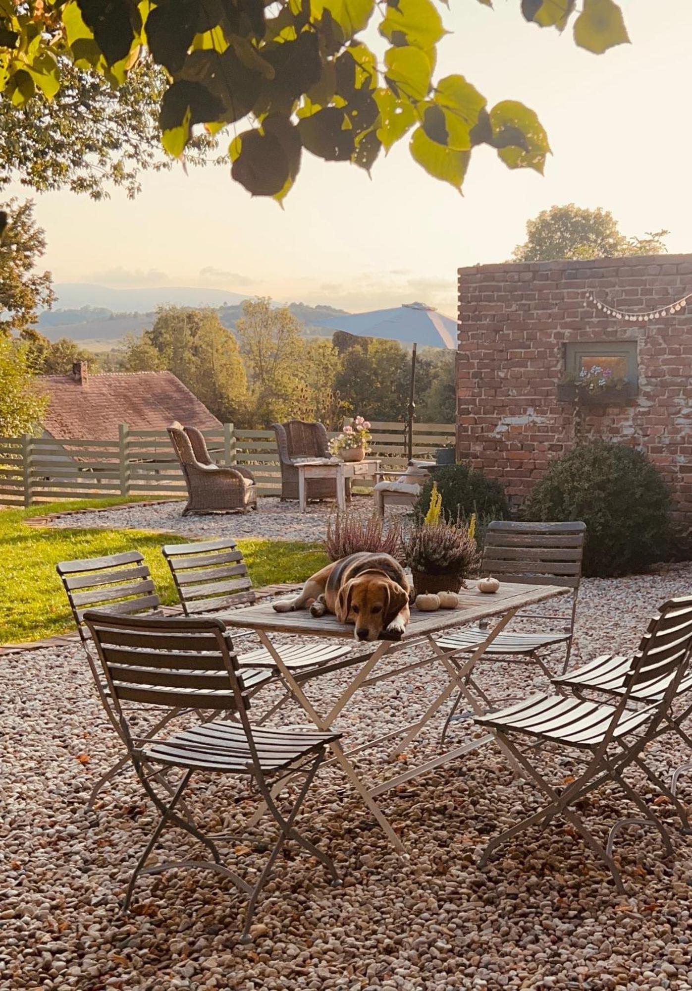 Bed and Breakfast Dom Na Krzewiu Gryfów Śląski Exterior foto